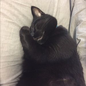 Meet your Posher, Kyle